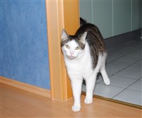 Krümel - das Original