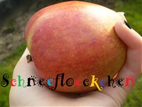Schneefloeckchen