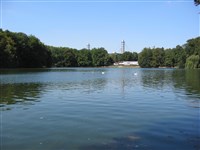 Wasser