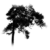 beVegt