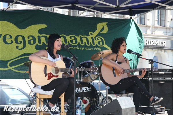 Singen und Gitarre spielen