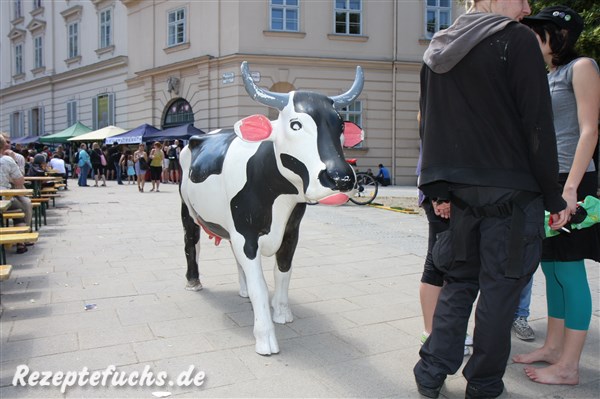 freilaufende Kuh