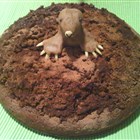 Maulwurfskuchen - nur echt mit Maulwurf ;-)