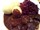 Falsche Ente mit Rotkohl, Klößen und dunkler Soße