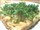 Rasen-Brot