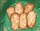 Weiße Lebkuchen