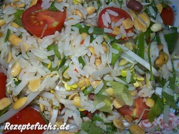 Sprossen-Reis-Salat